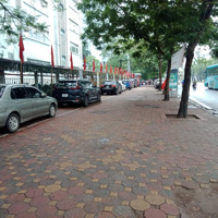 Bán Gấp Lô Đất Mp Trần Duy Hưng-Diện Tích320M,Mặt Tiền16M, Vỉa Hè Rộng- Kinh Doanh Sầm Uất Giá Bán 137 Tỷ