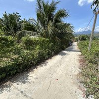 Bán Đất Tại Xã Ninh Sơn, Ninh Hòa, Khánh Hòa 425 Triệu, 141.8 M2