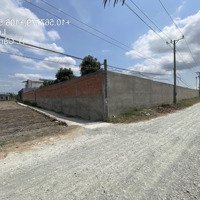 Bán 5.000 M2 Đất Thổ Cư Tại Xã Tân Trạch, Cần Đước, Long An