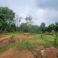 Bán Đất Mảnh 1200M2 Ở Phước Thiền Gần Kcn Nhơn Trạch Đồng Nai Cách Nằm Dưới Đường Cao Tốc Hcm-Lt-Dg