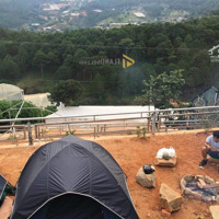 Bán Đất Tại Hoàng Hoa Thám, Phường 10, Đà Lạt, Lâm Đồng, 17,5 Tỷ, 2965M2