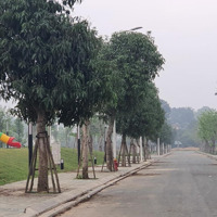 Một Số Lô Biệt Thự, Liền Kề Góc, Vip, Công Viên Giá Rẻ Nhất Dự Án - Nhà Đầu Tư Nhanh Tay