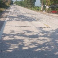 Cần Bán 1 Lô Đất Vườn 67 Công 180M Mặt Tiền Đất Nằm Ngây Ngã Ba, Gần Chợ, Ủy Ban Và Trường Học