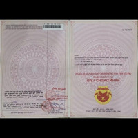 Bán Dãy Trọ ,Cây Thông Ngoài ,Sổ Hồng Riêng