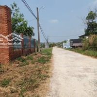 Đất Trung Tâm Thị Trấn Tân Khai 239 Triệu