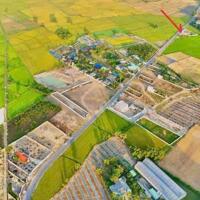 CÁCH BIỂN 2KM - TT PHƯỚC HẢI . LONG ĐẤT KHU CAMPINH ĐỒNG GIÓ