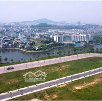 Bán Đất Tại Kđt Nam Vĩnh Yên, 28 Triệu, 257M2, Đẹp Nhiều Tiện Ích