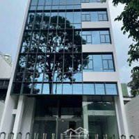 Chính Chủ Cho Thuê Mặt Tiền Đường Chu Mạnh Trinh Phường Bến Nghé Quận 1