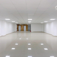 Nguyên Căn Hoàng Cầu Mới Xây, Hiện Đại Tiện Nghi 75M2X6T Mt6M Có Thang Máy, Full Đh, Sàn Thông 45 Triệu