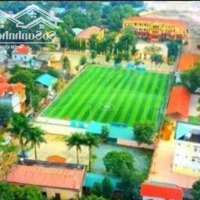 Bán Mảnh Đất 388M2 Chính Chủ Tại Thôn 4 Xã Phú Cát, Quốc Oai, Hà Nội