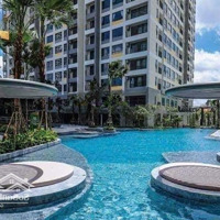 Cho Thuê Căn Hộ Masteri An Phú Quận 2,Diện Tích54M2, 1 Pn, Mới Đẹp Tiện Nghi Hiện Đại. Giá 14.5 Tr/Th