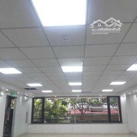 Cho Thuê Tòa Nhà Mới Xây Mặt Tiền Đặng Tất Góc Đặng Dung Quận 1