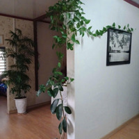 Bán Lô Đất Rộng Có Sẵn Nhà Đào Duy Từ, 232.97M2, Chỉ 10.5 Tỷ Cách Chợ Đà Lạt 1Km Vt Ngay Trung Tâm