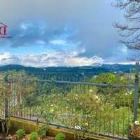 Bán Cụm 4 Căn Biệt Thự Đồi Đường Ba Tháng Tư Đà Lạt View Thung Lũng Thông Xanh