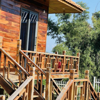 Mua Đất 1211M2 Tặng Nhà Gỗ Nghỉ Dưỡng Tại Vùng Ven Đà Lạt