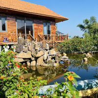 Mua Đất 1211M2 Tặng Nhà Gỗ Nghỉ Dưỡng Tại Vùng Ven Đà Lạt