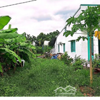 Bán Nhanh Giá Giảm 300 Triệu Xã Phước Vĩnh An( Diện Tích: 247M)Sổ Hồng Riêng . Giá Bán 1Ty 4990 Triệu.lh0909362-683 Xem Đất