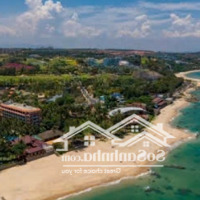 Ngộp Bank ..... Cần Bán Gấp !!!!! Đất Mũi Né - Phan Thiết. Vị Trí Siêu Đẹp, Có Thổ Cư!