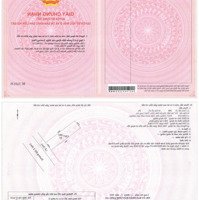 Đất Nền Phân Lô Đã Có Sổ, Liền Kề Vinhomes Tân Mỹ Và Vinhomes Hậu Nghĩa