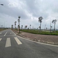 Dự Án Khu Đô Thị Phía Đông Thành Phố Chí Linh Hải Dương