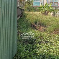 Bán 1.738M2 Đất Cách Trung Tâm Hành Chính Tp Mỹ Tho, Quảng Trường 700M. Đường Ô Tô. Giá Bán 6 Tỷ Tl