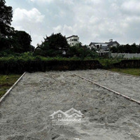 Bán Gấp Đất 71.8M2, Giá Thỏa Thuận Tại Phù Linh, Sóc Sơn, Hà Nội
