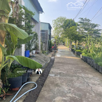 Bán Gấp Đất Tây Hoà Sổ Riêng Thổ Cư 1 Tỷ 250 Gần Vành Đai 4, Kcn Bàu Xéo, Trường Huỳnh Thúc Kháng.