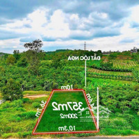 Đất Lộc Nga View Trực Diện Núi Đại Bình, Nằm Ngay Đường Võ Trường Toản, Trung Tâm Tp Bảo Lộc