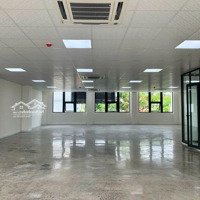 Tòa Nhà Khu K300 Dt: 12X20M Hầm Trệt 4 Lầu Cho Thuê