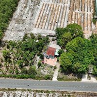 Bán Đất Tại Xã Minh Hưng, Chơn Thành, Bình Phước, 350 Triệu, 200 M2