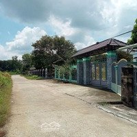 Bán Đất Tại Xã Minh Hưng, Chơn Thành, Bình Phước, 350 Triệu, 200 M2