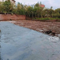 Chỉ 1,8X Tỷ Có Lô Đất 42M Thị Trấn Kim Bài, Gần Cụm Công Nghiệp , Gần Vin Liên Hệ: 0989643943