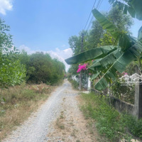 Đất Phước An, Gần Trường Đại Học Phước An, Đường Thông, Dân Cư Hiện Hữu, Giá Chưa Đến 3 Triệu/M2