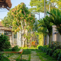 Cho Thuê Bt 5 Phòng Ngủ 6 Vệ Sinh 615M2 Giá Cực Chất Tại Dương Tơ, Phú Quốc, Kiên Giang