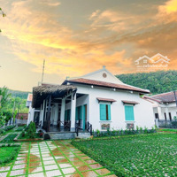 Cho Thuê Bt 5 Phòng Ngủ 6 Vệ Sinh 615M2 Giá Cực Chất Tại Dương Tơ, Phú Quốc, Kiên Giang