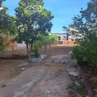 Đất Đẹp - Đầu Tư Sinh Lời- Chính Chủ Bán Nhanh Lô Đất Tại Hưng Long Xã An Phú Tây Bình Chánh, Hcm