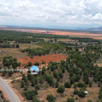 Bán 1900M Mặt Tiền Nhựa Đường Võ Nguyên Giáp Ngay Cổng Chính Sân Bay Phan Thiết Giáp Sungroup