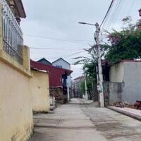 Bán Đất Tổ 9 Quang Minh, Mê Linh-ÔTô Vào Tận Nơi, Full Thổ Cư, Giá Rẻ Nhất Khu Vực 33,5 Triệu/m²