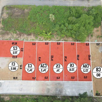 Chính Chủ Cần Gấp Lô Đất Trục Chính Tân Xã Diện Tích 98,5M2 Giá F0