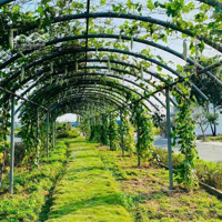 Bán Đất Khu Dân Cư Làng Sen Việt Nam Đức Hòa, Long An. Sổ Sẵn 77M2 - 1,2 Tỷ
