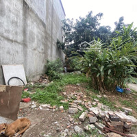 Cực Hiếm, Bán Đất Ngọc Thụy, 53M2, Mặt Tiền 4,34M, Ngõ Ô Tô, 2 Mặt Thoáng Chỉ Nhỉnh 4 Tỷ