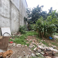 Cực Hiếm, Bán Đất Ngọc Thụy, 53M2, Mặt Tiền 4,34M, Ngõ Ô Tô, 2 Mặt Thoáng Chỉ Nhỉnh 4 Tỷ