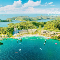 Bán Ngay Căn Hộ Nghỉ Dưỡng- Cho Thuêdiện Tích34M2 View Biển- Pháo Hoa Hót Nhất Tại Cát Bà