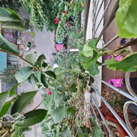 Nhà Phân Lô Kđt Phú Lương, 63M2-6 Tầng, 16 Tỷ 1, 2 Thoáng, Ô Tô - Kinh Doanh, Tặng Full Nội Thất