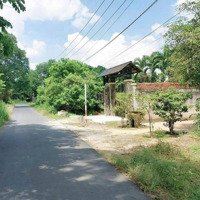 Bán Đất Đấu Giá Cao Cho Ai Nhanh Tay Tại Nhuận Đức. 136M2, Mặt Tiền 5M, Pháp Lý Đầy Đủ