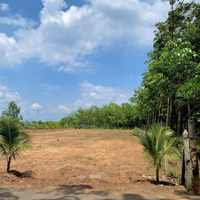 Bán Đất 100M2 Tại Hương Lộ 601, Tân Định, Bến Cát, Bình Dương, 1,28 Tỷ