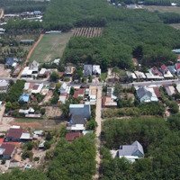 Bán Đất An Long, Phú Giáo, Bình Dương. Diện Tích 4802.5 M2