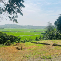 Rẻ Nhất Thị Trường 400M2 Sẵn Sổ Hồng, Giá Chỉ Hơn 4 Tỷ View Cánh Đồng Đẹp Thoáng, Chủ Giảm 3 Giá