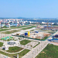 Giá Chỉ Từ 18 Triệu/M Sở Hữu Căn Hộ Yên Bình Complex.