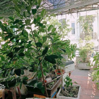 Mặt Tiền Kinh Doanh Sát Chợ Sơn Kỳ - Aeon Tân Phú